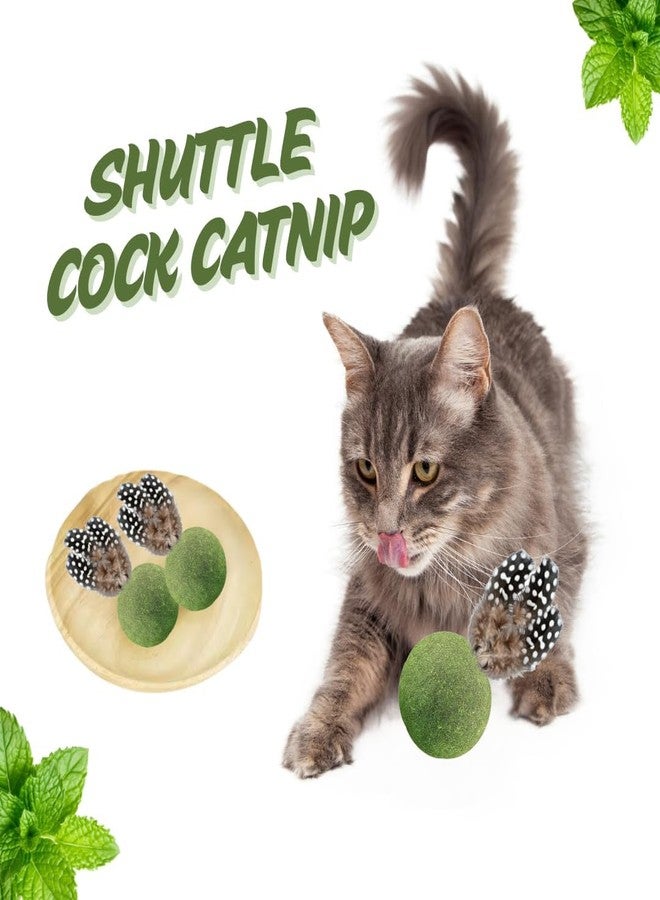 PET FUN لعبة النعناع البري للقطط من بيت فن | لعبة مضغ ولعق على شكل كرة ريشة للقطط | نعناع بري طبيعي | تنظيف الأسنان والتحكم في كرات الشعر (لعبة النعناع البري على شكل كرة ريشة) - Image 2